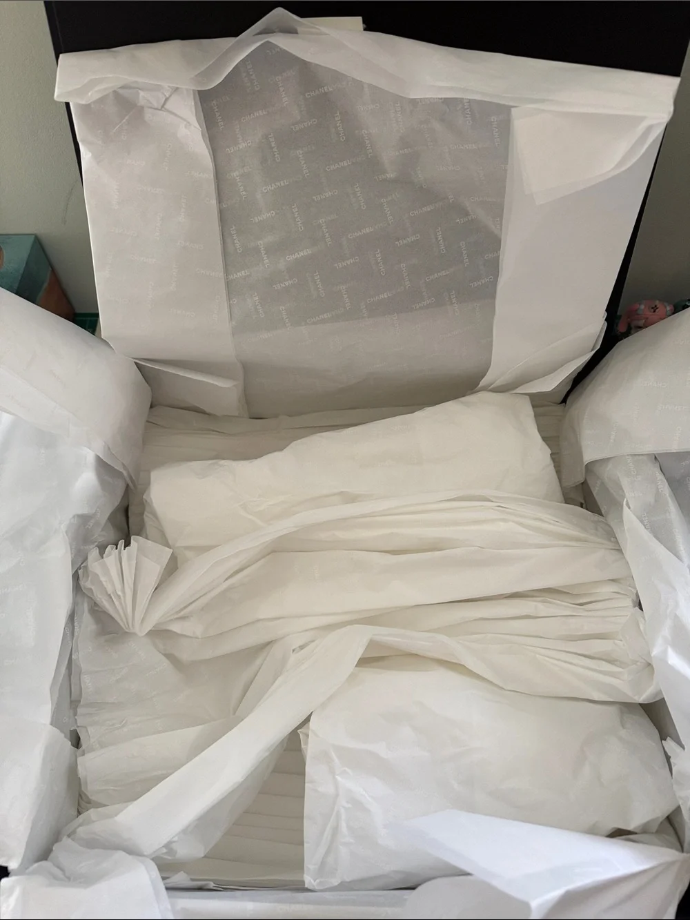 CHANEL 19 width